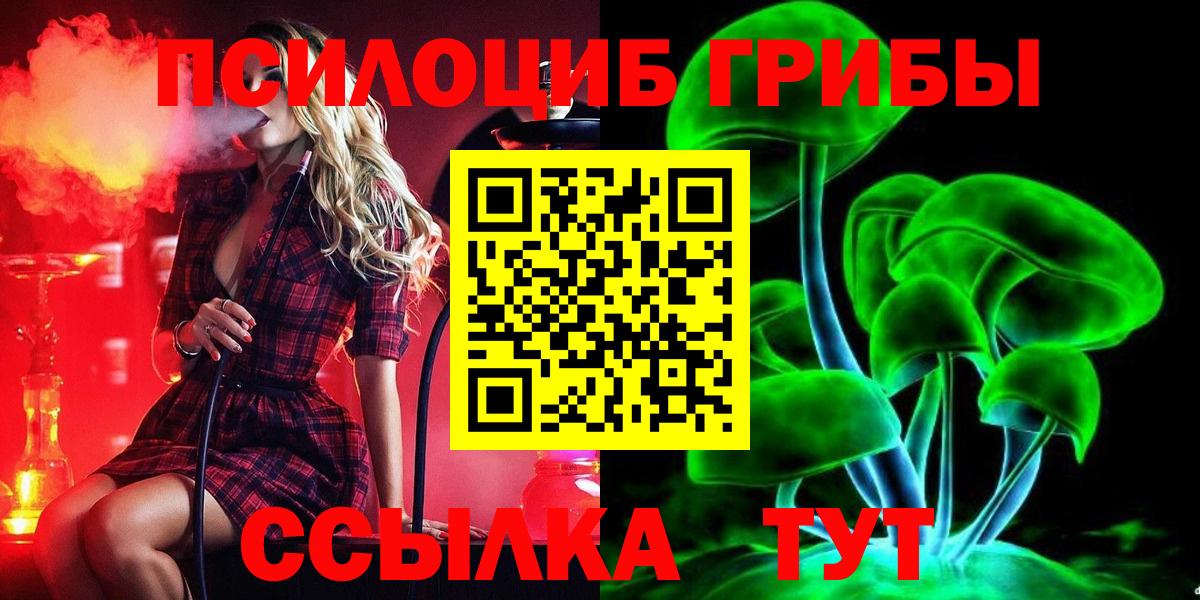Прокопьевск  Галлюциногенные грибы Cubensis  Вход с VPN 